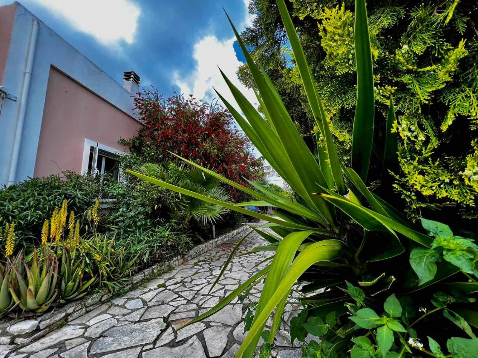 Apartment Angela Corfu